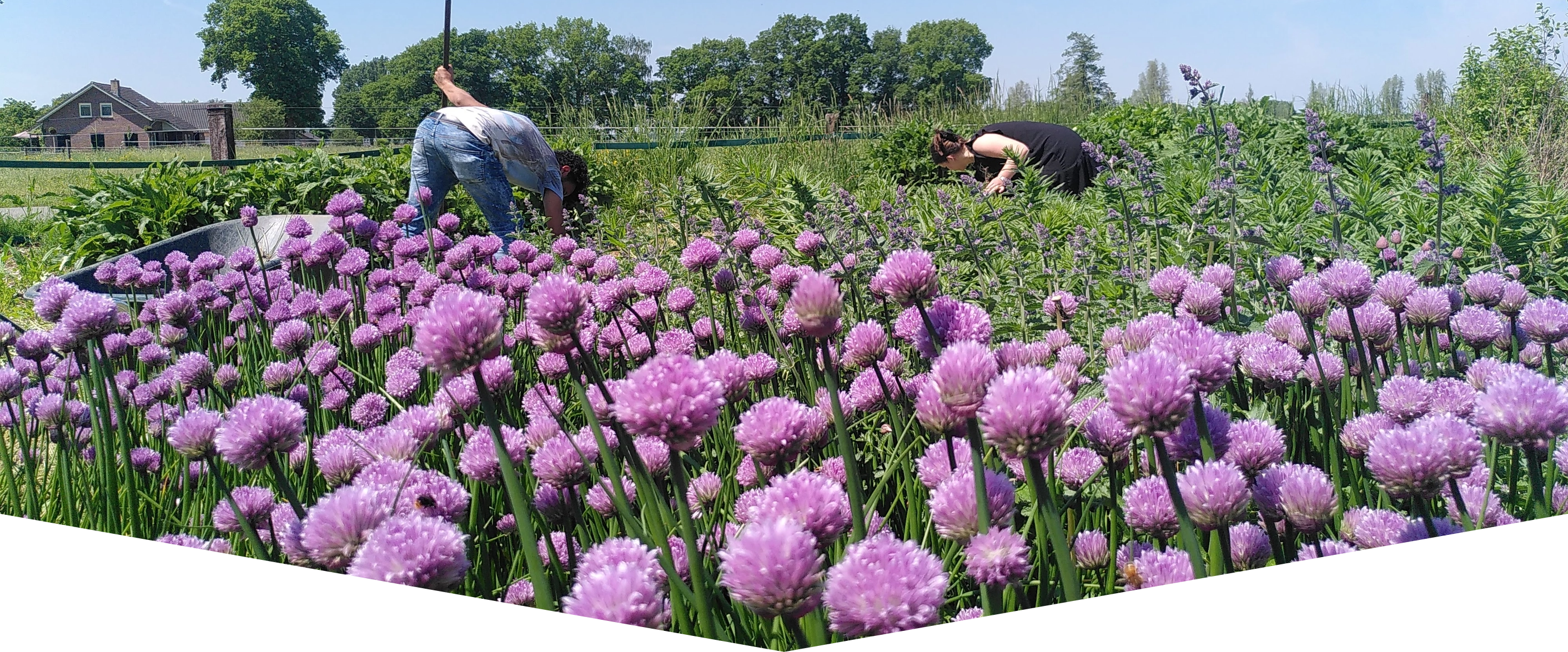 photo-area@2x.png